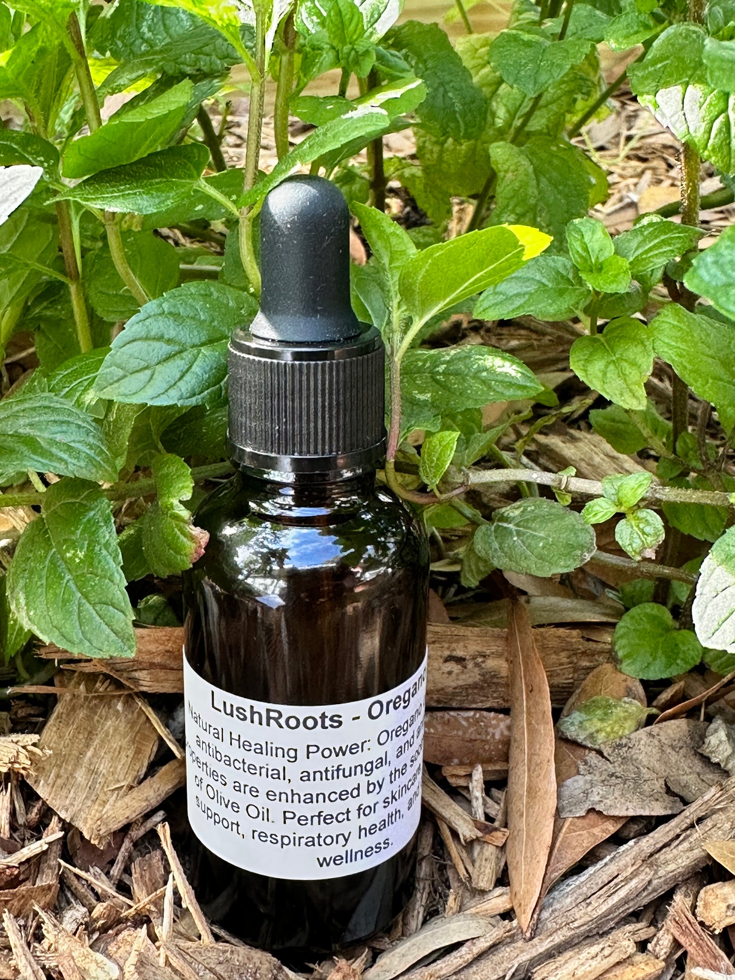 LushRoots Oregano Oil